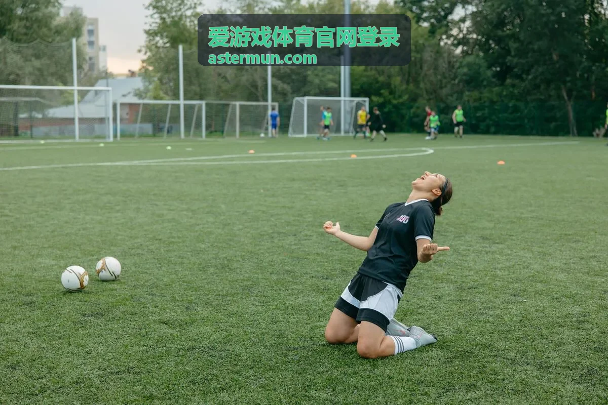 爱游戏体育官网登录格斗竞技项目赛事合集封面