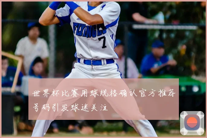 世界杯比赛用球规格确认官方推荐号码引发球迷关注