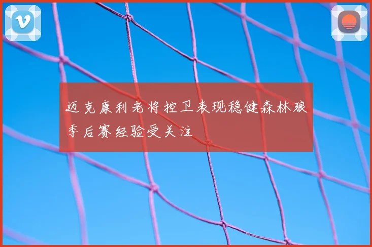 迈克康利老将控卫表现稳健森林狼季后赛经验受关注