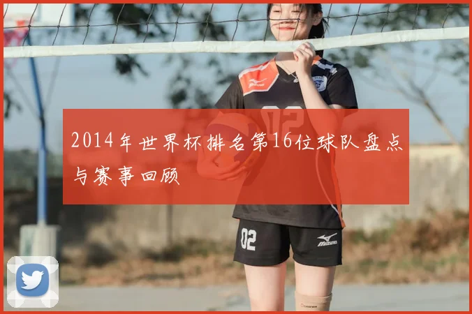 2014年世界杯排名第16位球队盘点与赛事回顾